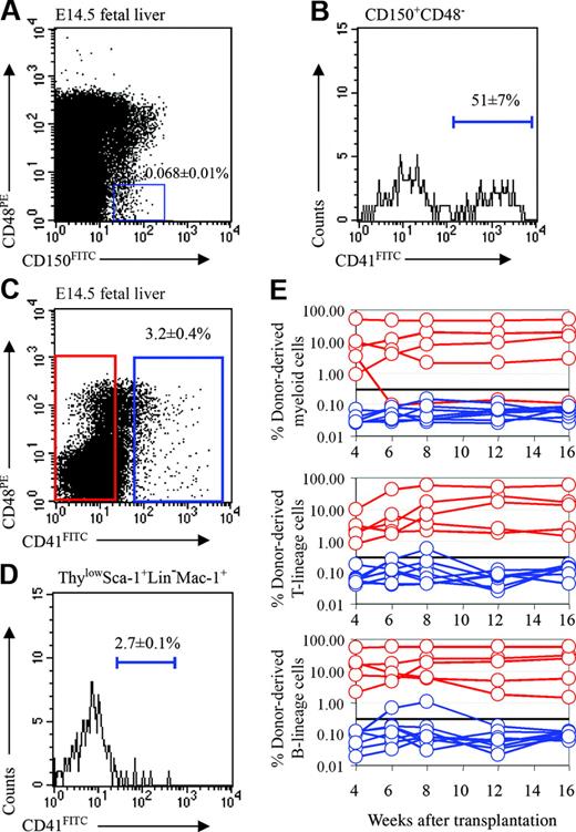 Figure 4. Fetal liver HSCs are CD41–. (A) CD150+CD48– cells accounted for 0.068% ± 0.01% of E14.5 fetal liver cells (note that these gates used for the analysis of HSC frequency were somewhat tighter than those used in Figure 1D for the analysis of colony-forming progenitors), and (B) 51% ± 7% of the cells in this population were CD41+. In the analysis shown in panel B, CD41, CD48, and CD150 staining were detected in the FITC, PE, and APC channels, respectively. (C) Three-and-one-fifth percent of fetal liver cells expressed CD41. (D) CD41 expression was detected on only 2.7% of cells within the ThylowSca-1+lineage–Mac-1+ HSC population. In this analysis CD41, Thy-1, Sca-1, lineage marker, and Mac-1 staining were detected in the FITC, PE-Cy5, APC-Cy7 (PR), PE, and APC channels, respectively. (E) Irradiated recipient mice received transplants of 1620 CD41+ fetal liver cells (blue lines) or 48 380 CD41– fetal liver cells (red lines). Most mice that received transplants of CD41– cells became long-term multilineage reconstituted (4 of 5; the other mouse was transiently multilineage reconstituted), but none of the mice that received transplants of CD41+ cells showed convincing reconstitution (0 of 8 mice).