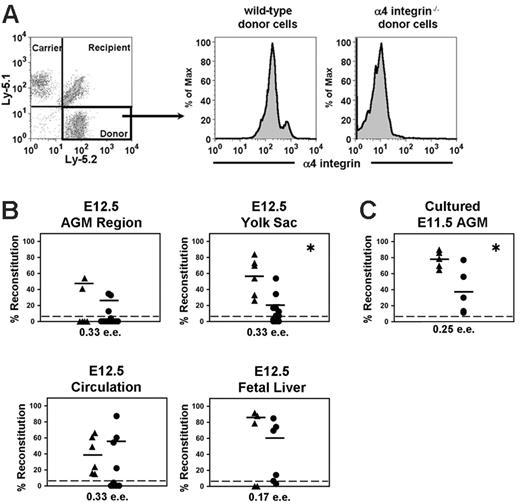 Figure 4. Long-term repopulation assay with α4 integrin–/– and wild-type embryonic tissues. (A) A representative plot demonstrates repopulation with embryonic E12.5 yolk sac (α4 integrin–/–) plus 20 000 competitor carrier (wild-type) bone marrow cells using the Ly-5.1/Ly-5.2 system. α4 integrin–/– repopulating yolk sac–derived cells show an absence of α4 integrin expression (right plot). The intermediate plot demonstrates that recipients of wild-type embryonic transplants express α4 integrin. (B) Transplantations with E12.5 tissues are plotted as the percentage of donor contribution in the peripheral blood of each mouse. (C) Transplantations with 4-day cultured α4 integrin–/– (•) and wild-type (▴) E11.5 AGM region. Plotted horizontal lines represent the mean percentage level of reconstitution in the peripheral blood for each set of recipient mice. (*P < .05, comparison between wild-type and α4 integrin–/– reconstitution levels.) Note that by using another method for assessment of reconstitution, which compares the number of reconstituted mice out of the total that received transplants of wild-type and α4 integrin–/– cells, there is no significant difference between these 2 groups for all tissues transplanted. (For statistics, see Table S2.)
