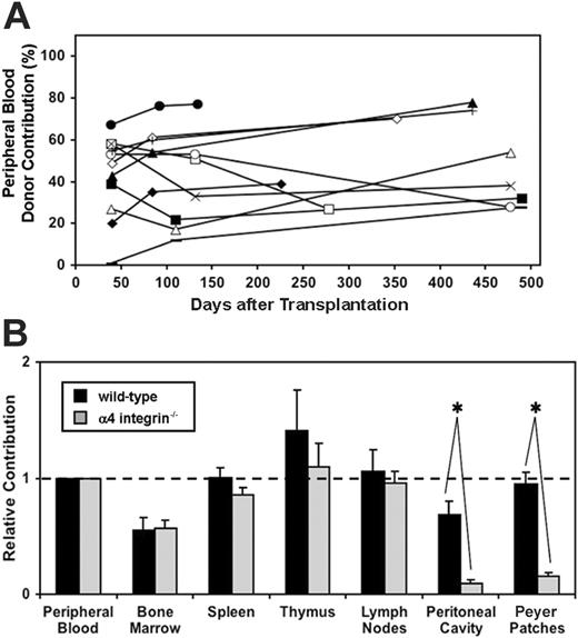 Figure 5. Contribution of α4 integrin–/– and wild-type embryonic cells to lymphohematopoietic tissues. (A) The level of reconstitution in the peripheral blood of recipient mice is maintained over time, up to 500 days after transplantation. Each symbol and connecting line represents an individual mouse that has been reconstituted with α4 integrin–/– E12.5 fetal liver (n = 5), yolk sac (n = 2), AGM region (n = 1), or peripheral blood (n = 4). (B) Mice that received transplants of α4 integrin–/– () or wild-type (▪) E12.5 embryonic tissues (fetal liver, AGM region, yolk sac, and peripheral blood) were analyzed for donor contribution in various tissues using flow cytometry. Note the deficiency in colonization of the peritoneal cavity and the Peyer patches with α4 integrin–/– cells. The mean for relative contribution, as compared to the percent reconstitution in peripheral blood, is plotted. Bars represent standard error (*P < .01; wild-type n = 7, α4 integrin–/– n = 7).