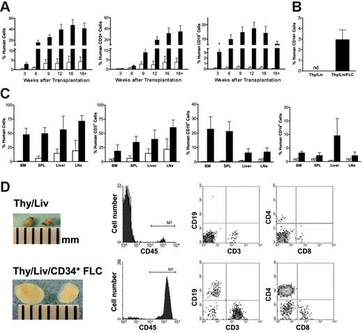 Figure 1. Transplantation of CD34+ FLCs improves multilineage human hematopoiesis in NOD/SCID mice that received a graft of human fetal Thy/Liv. NOD/SCID mice that received Thy/Liv only (□,n = 8) or Thy/Liv/CD34+ FLCs (▴,n = 13) were bled to measure human chimerism in the peripheral blood mononuclear cells (PBMCs) at the indicated time points; all mice were killed between 18 to 25 weeks after human tissue/cell transplantation for analysis of human-cell repopulation in bone marrow (BM), spleen (SPL), liver, and lymph nodes (LNs). (A-C) Data are mean ± SEMs, and the differences in mean values at the time points later than 6 weeks are statistically significant. (A) Kinetics of human CD45+, CD3+, and CD19+ cell levels in the PBMCs. (B) Levels of human CD14+ monocytes/macrophages in the PBMCs at death between 18 and 25 weeks after human tissue/cells transplantation. (C) Levels of various lineages of human hematopoietic cells in BM, SPL, liver, and LNs at death between 18 and 25 weeks after human tissue/cell transplantation. nd indicates not detected. (D) Macroscopic and FCM analyses of representative mesenteric lymph nodes taken from NOD/SCID mice that received Thy/Liv (top panel) or Thy/Liv/CD34+ FLCs (bottom panel) at week 20. For FCM analysis, single-cell suspensions were stained for the markers of human hematopoietic cells (CD45), T cells (CD3, CD4, and CD8), and B cells (CD19).