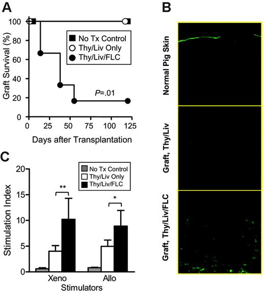 Figure 4. CD34+ FLC infusion improves in vivo functions of human T cells in NOD/SCID mice that received a graft of human fetal Thy/Liv. (A) Skin xenograft survival in NOD/SCID control mice (n = 5), NOD/SCID mice that received human Thy/Liv (n = 5), and NOD/SCID mice that received human Thy/Liv/CD34+ FLCs (n = 6). (B) Fluorescence microscopy showing infiltration by human CD3+ T cells in representative porcine skin grafts from NOD/SCID mice that received a transplant of Thy/Liv and Thy/Liv/CD34+ FLCs. Normal porcine skin was used as staining control. (C) Splenocytes were prepared from NOD/SCID control mice that did not undergo transplantation (n = 5), NOD/SCID mice that received Thy/Liv (n = 5), and NOD/SCID mice that received Thy/Liv/CD34+ FLCs (n = 6) 120 days after skin grafting and analyzed for xenogeneic (antipig) and allogeneic (antihuman) MLR. Data are mean ± SEMs. *P < .05; **P < .01.