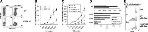 Figure 4. Defective MHC-II presentation of s-DCs from ICSBP–/– mice in vivo. (A) ICSBP–/– and WT mice were injected intravenously with 1 mg OVA-FITC. Two hours later, s-DCs were isolated by magnetic cell sorting. CD11c+ cells were stained with PE-labeled anti-CD8α antibody and analyzed by FACS. Density plots represent the uptake of OVA-FITC and the expression of CD8α in CD11c+ s-DCs from mice injected with OVA-FITC or PBS. Numbers in top right and bottom right quadrants are the percentages of FITC+ cells in CD8α+- and CD8α–-gated DC subsets, respectively. Data are representative of 2 separate experiments. (B-C) ICSBP–/– and WT mice were intravenously injected with 1 mg OVA. Two hours later, CD11c+ s-DCs were isolated and used as stimulators of 105 OT-II CD4+ T cells in vitro. DC were either assayed ex vivo (B) or after overnight culture in the presence or absence of 0.5 μg/mL LPS (C). The cultures were pulsed with 3H-thymidine for 16 hours at the fourth day, and the incorporation into the cellular DNA was determined by liquid scintillation counting. Each point represents the mean counts per minute (cpm) ± SD in triplicate cultures of 1 out of 3 experiments. (D) Phenotype of s-DCs from ICSBP–/– and WT mice cultured overnight with or without LPS (0.5 μg/mL). (E) Splenic DCs from ICSBP–/– and WT mice injected with OVA were inoculated in the footpads of WT recipients that had been adaptively transferred with 5 × 106 CFSE-labeled OT-II CD4+ T cells the day before. Three days later, proliferation of CFSE+ cells in draining popliteal LN was evaluated by FACS. Results are representative of 2 similar experiments.