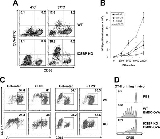 Figure 6. BM-DCs from ICSBP–/– mice are impaired in Ag presentation in vitro and in vivo. (A) BM-DCs of WT and ICSBP–/– mice were incubated for 40 minutes with 1 mg/mL OVA-FITC and then stained for CD11c and CD86 expression. Density plots represent the uptake of the OVA and the relative expression of CD86 in CD11c+-gated cells. Data are representative of 3 separate experiments. Three days later, the proliferation of CFSE+ cells in draining popliteal LN was evaluated by FACS. (B) WT and ICSBP–/– BM-DCs were magnetically sorted with anti-CD11c Microbeads and incubated with 1 mg/mL OVA for 40 minutes. Cells were washed, cultured overnight with 0.5 μg/mL LPS, and then assayed for their ability to stimulate the proliferation of OVA-specific OT-II CD4+ T cells. Thymidine incorporation was measured at the fourth day of coculture. Data represent the mean cpm of triplicate wells ± SD of 1 of 4 independent experiments. (C) BM-DCs were treated as in panel B and then analyzed by FACS for CD86 and I-A expression. (D) Sorted CD11c+ BM-DCs of WT and ICSBP–/– mice were loaded with OVA as in panel B. OVA-loaded DCs were injected in the footpads of WT recipients previously reconstituted with 5 × 106 CFSE-labeled OT-II CD4+ T cells. Three days later, proliferation of CFSE+ cells in draining popliteal LN was evaluated by FACS. Results are representative of 2 separate experiments.