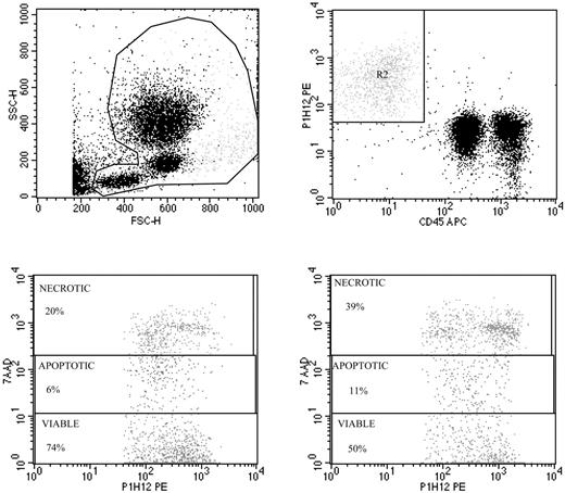 Figure 3. Validation of viable and apoptotic CEC enumeration. Representative spiking of peripheral blood with human umbilical vein endothelial cells (HUVECs) used to validate CEC enumeration by flow cytometry (top panels), and evaluation of apoptosis by 7AAD in HUVECs exposed to FAS ligand (bottom panels). Top panels show the gate used to exclude platelets, dead cells, and debris (left panel), and enumeration of HUVECs depicted as CD45–, P1H12+ cells (right panel). The detection limit of our procedure was 0.1 cells/μL, and specificity was more than 90%. Repeated CEC measurements in blood samples from more than 30 healthy subjects over time have shown a less than 14% variability. Panels of the bottom show representative 7AAD staining of HUVECs before (left) and after (right) exposure to FAS ligand.