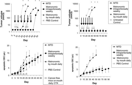 Figure 6. CEC kinetics and viability in lymphoma-bearing mice. Left panels show tumor volume, day of MTD (gray arrows) and metronomic (black arrows) treatments, and CEC count in NOD/SCID mice that had been given injections of Namalwa and in cancer-free, control animals. Results are expressed as mean ± 1 SD (bars). n = 12 per study group. Right panels show tumor volume, day of MTD (gray arrows) and metronomic (black arrows) treatments, and CEC count in NOD/SCID mice that had been given injections of Granta 519. Results are expressed as mean ± 1 SD (bars). n = 12 per study group. *P < .01.