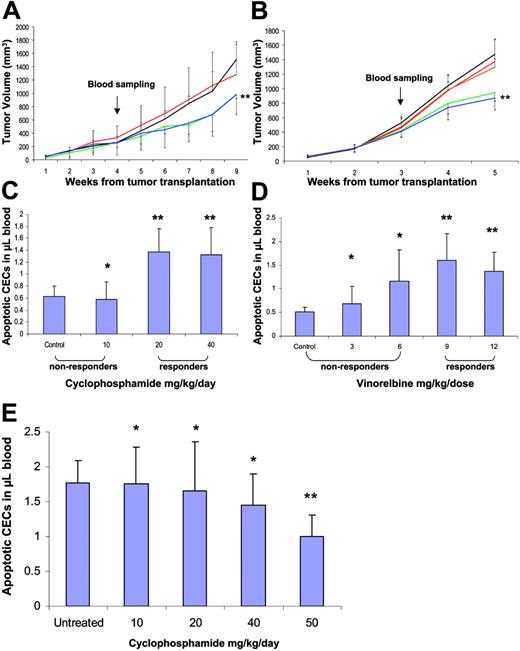 Figure 7. CEC kinetics and viability in melanoma- and breast cancer–bearing mice. Six-week-old mice received transplants of either a human melanoma cell line (MeWo) (A) or a metastatic breast cancer cell line (LM2-4) (B). Tumors were monitored on a weekly basis. When tumors reached 200 mm3, mice were treated with 0, 10, 20, or 40 mg/kg/d of cyclophosphamide (black, red, green, and blue, respectively), or 0, 3, 6, 9, or 12 mg/kg 3 times a week of vinorelbine (black, red, orange, green, and blue, respectively). After 1 week of treatment, mice were bled from the retro-orbital sinus and blood was assessed for the levels of apoptotic CECs (panels C and D, respectively). Panel E shows apoptotic CEC counts in nontumor-bearing BALB/c mice treated with CTX for 1 week. The reduction in CEC count observed in mice treated with 50 mg/kg/d CTX is most likely due to the severe myelosuppression described in this same model by Shaked et al.17 *P > .05 indicates nonsignificant; **P < .05 indicates statistically significant from control using t test statistical analysis. Results are expressed as mean ± SD.