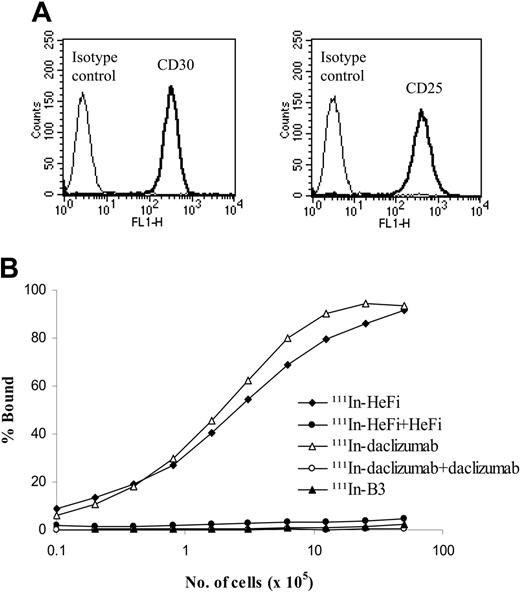Figure 1. Expression of CD30 and CD25 on karpas299 cell surfaces evaluated by flow cytometric analysis and immunoreactivities of 111In-HeFi-1 and 111Indaclizumab with karpas299 cells. (A) Karpas299 cells strongly express both CD30 and CD25 on the cell surfaces. (B) Both 111In-HeFi-1 and 111In-daclizumab bound to karpas299 cells specifically, with maximum binding percentage more than 90%. 111In-B3 did not bind to karpas299 cells. Both experiments were repeated once.