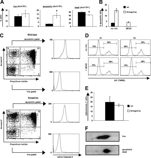 Figure 6. Gimap4 accelerates stress-induced death in T cells. Sorted T cells from Gimap ko mice and heterozygous littermates were incubated for 1 day in serumfree medium. Data are representative of at least 3 independent experiments using 3 mice in each experiment. Error bars indicate standard deviation. (A) Live, apoptotic, or dead cells were distinguished by fluorochrome–annexin V and PI labeling. The apoptotic population was always 2- to 4-fold higher in Gimap4-deficient T cells. Student t test revealed significant differences; asterisk represents P value of less than .005. (B) Sorted T cells were incubated in the presence or absence of the effector-caspase inhibitor DEVD (100 μM) and subsequently stained with fluorochrome–annexin V and PI. (C) After 1 day of serum deprivation, live and apoptotic T cells were sorted based on their annexin V and PI staining pattern and stained for intracellular active caspase-3. (D) For the mitochondrial membrane potential (ΔΨ) cells were stained with the voltage-dependent membrane permeable dye TMRE. (E) Cells were stained with fluorochrome-labeled cytochrome c antibody. (F) Equal amounts of proteins from lysates from purified live and dying T lymphocytes after 1 day of serum starvation were used for 2D analysis.