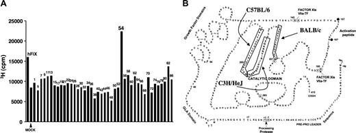 Figure 1. Mapping of dominant hF.IX CD4+ T-cell epitopes. (A) Representative result of T-cell proliferation following in vitro stimulation with individual peptides of a hF.IX peptide library. Splenocytes were isolated from hemophilia B C3H/HeJ mice after immunization with hF.IX in cFA. Incorporation of 3H thymidine was measured and compared with mock- and hF.IX protein–stimulated cells. cpm indicates counts per minute. (B) Diagram of hF.IX primary amino acid sequence. Boxes indicate peptides that contain dominant CD4+ T-cell epitopes in hemophilia B mice on C57BL/6, C3H/HeJ (this study), or BALB/c (Greenwood et al25) genetic background. Also indicated are domains and protease cleavage sites and numbering of some reference amino acids.