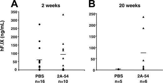 Figure 4. Systemic hF.IX levels in for C3H/HeJ hemophilia B mice treated with hF.IX-derived peptide 2A-54 (▴) or saline control (•) after hepatic AAV-hF.IX gene transfer. (A) Two weeks. (B) Twenty weeks. Each data point represents an individual animal. Horizontal bars show average hF.IX levels in plasma. Numbers of mice are indicated for each cohort and time point.