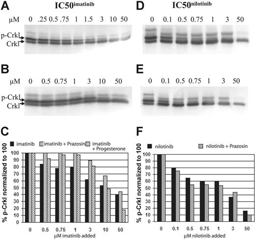 Figure 5. Western blots and corresponding graphs. (A) Standard IC50imatinib assay. (B) IC50imatinib assay performed with the addition of 100 μM prazosin. (C) Combined graphic representation of panels A-B. (D) Standard IC50nilotinib assay. (E) IC50nilotinib assay performed with the addition of 100 μM prazosin. (F) Combined graphic representation of panels D-E.