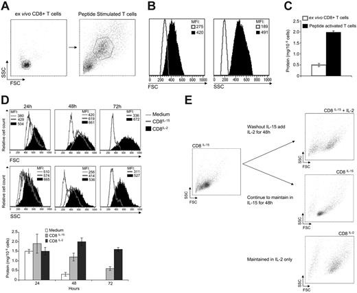 Figure 3. Kinetics of the change in cell size of antigen-activated CD8+ T-cell cultures stimulated with IL-2 or IL-15. (A-B) Data show dot plots and histograms of FSC and SSC of naive P14 LCMV transgenic CD8+ T cells or P14 LCMV CD8+ T cells activated with LCMV gp33-41 peptide for 2 days. Cells represented in histogram profiles were gated on size, as indicated in dot plots, and equal expression levels of the CD8a surface molecule (data not shown). (C) Cellular protein content (mg/mL) of 106 naive P14 LCMV transgenic CD8+ T cells or P14 LCMV CD8+ T cells activated with LCMV gp33-41 peptide for 2 days. (D) Data show FSC, SSC, and cellular protein content of 106 peptide-activated P14 LCMV CD8+ T cells cultured for 24, 48, and 72 hours in medium alone, 20 ng/mL IL-2 (CD8IL-2), or IL-15 (CD8IL-15). (C-D) Error bars indicate SD. (E) FACS dot plots with FSC and SSC profiles of antigen-activated P14 LCMV CD8+ T cells cultured in 20 ng/mL IL-15 (CD8IL-15) for 3 days. After 3 days in culture, CD8IL-15 cells were washed 3 to 4 times (to remove exogenous cytokine) and were recultured in 20 ng/mL IL-2 (CD8IL-15 + IL-2) or again in 20 ng/mL IL-15 (CD8IL-15) for another 48 hours. As a comparison, FSC and SSC profiles are shown of antigen-activated P14 LCMV CD8+ T cells maintained only in IL-2 (CD8IL-2) for 5 days. All histograms, dot plots, and graphs are representative of the results of 4 or more experiments. P < .05 for concentration differences 2-fold or greater.
