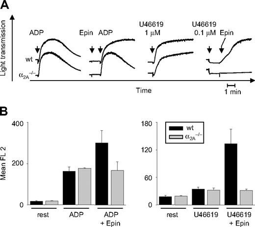 Figure 2. In vitro characterization of α2A–/–-deficient platelets. (A) Heparinized PRP was stimulated with ADP (5 μM) and U46619 (1 μM or subthreshold concentration of 0.1 μM) in the presence or absence of 10 μM epinephrine (Epin), and light transmission was recorded on a Fibrintimer 4-channel aggregometer. Results shown are representative of 6 individual experiments. (B) Washed whole blood from wild-type or α2A–/– mice was incubated with 5 μM ADP and 1 μM U46619 (U46) in the presence or absence of 10 μM epinephrine (Epin) for 15 minutes at room temperature. Activation of αIIbβ3 and P-selectin expression was analyzed by flow cytometry. Results are presented as mean ± SD of 5 mice per group.