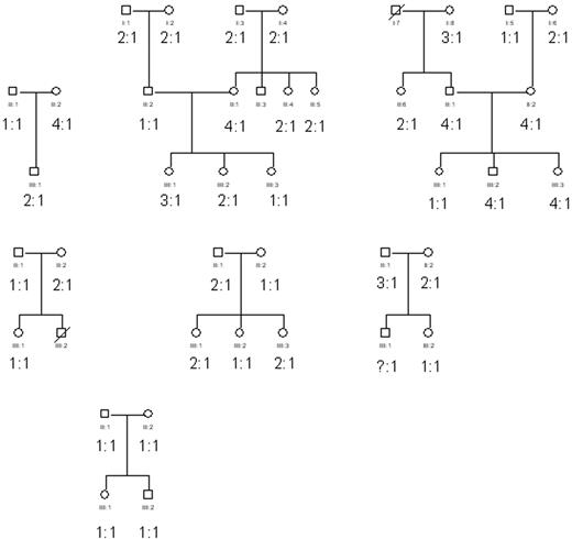 Figure 5. Inheritance of the FcγRIIa/FcγRIIb2 mRNA ratios. Neutrophils from several white families were obtained and subsequently the FcγRIIa/FcγRIIb2 mRNA ratios were determined as described in “Materials and methods.” The age within this group varied between 10 to 80 years. No obvious inheritance pattern was observed.