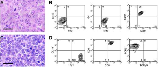 Figure 3. Distinct tumor types in MYC10 and MYC10hommice. (A) High-power view of a MYC10 thymic macrophage tumor, comprising large cells with bulky, variably vacuolated cytoplasm and a vesicular, sometimes pleomorphic nucleus, characteristics of histiocytic sarcoma. H&E-stained section; scale bar equals 20 μm. (B) Flow cytometric analysis of typical MYC10 macrophage (Mac1+ F4/80+ Gr1– CD19– Thy1–) tumor. The percentage of cells in each quadrant is indicated. (C) High-power view of a thymic MYC10hom pre–T-cell lymphoma with lymphoblastic morphology, comprising smaller cells with indistinct cell borders. (D) Flow cytometric analysis of typical MYC10hom pre–T-cell (Thy1+ TCRβ+ CD4+ CD8+ CD19–) lymphoma.