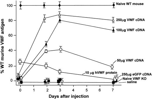 Figure 1. VWF antigen levels in plasma after tail vein administration of murine VWF cDNA to VWF–/– mice. VWF antigen levels at 48 hours, 72 hours, and 1 week after VWF cDNA injection, respectively. Results were determined by ELISA, as described in “Materials and methods,” and are reported as percentages of normal murine VWF. Profiles are shown for plasma VWF antigen level from untreated wild-type mice, plasma VWF antigen level from untreated VWF–/– mice, plasma VWF antigen level after injection of 50, 100, or 250 μg murine VWF cDNA, plasma VWF antigen level after injection of 10 μg recombinant human VWF protein, plasma VWF antigen level after injection of 250 μg eGFP cDNA (negative control), and plasma VWF antigen level after hydrodynamic injection of saline (negative control).