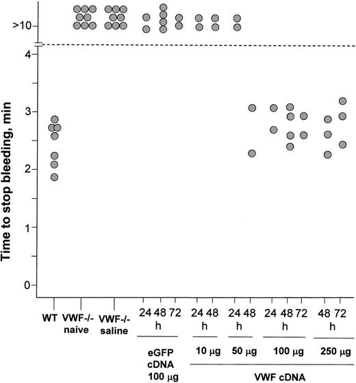 Figure 7. Impact of administration of murine VWF cDNA plasmid on bleeding time of VWF–/– mice. Mice were assessed for the time required for bleeding to stop after a transected tail vein wound. After 10 minutes, bleeding was stopped by cauterization. Each data point represents a single animal. Wild-type mice stopped bleeding 2 to 3 minutes after wounding. Forty-eight hours after administration with saline, naive VWF–/– mice and VWF–/– mice continued bleeding for episodes lasting more than 10 minutes; this is the bleeding phenotype that characterizes this animal model.12 VWF–/– mice receiving 100 μg eGFP cDNA showed no effect on bleeding time when tested at 24, 48, or 72 hours. Administration of 10 μg or50 μg VWF cDNA also had no effect on bleeding time at 24 hours, but by 48 hours after injection, bleeding time in the animals receiving 50 μg VWF cDNA was normalized. Administration of 100 μg or 250 μg VWF cDNA resulted in the normalization of bleeding time by 24 hours and persisted until at least 72 hours.