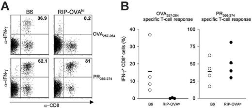 Figure 1. Tolerance in RIP-OVAhi mice. (A) Flow cytometric analysis of in vitro–restimulated splenocytes of inflova-infected B6 (left) or RIP-OVAhi mice (right). An IFNγ assay was performed 14 days after restimulation with 5 × 10–4 μg/mL OVA257-264 peptide (top) or PR366-374 peptide (bottom). (B) IFNγ production 14 days after restimulation with the OVA257-264 peptide (left) or PR366-374 peptide (right) of splenocytes from inflova-infected B6 (○) or RIP-OVAhi (•) mice. Each circle represents 1 mouse; bars, averages.