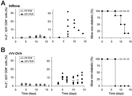 Figure 2. In vivo function of TCR-modified T cells in a self-tolerant setting. (A) Analysis of blood cells and blood-glucose levels of RIP-OVAhi mice that received 1 × 105 F5 (□) or OT-I (•) transduced T cells followed by inflova infection. (B) Analysis of blood cells and blood-glucose levels of RIP-OVAhi mice that received 1 × 106 F5 (□) or OT-I (•) transduced T cells followed by rVV-OVA infection; blood was sampled 3 to 15 days after infection. (Left and middle) Closed circles and open squares represent TCR-transduced T-cell responses in individual mice; bars, averages. (Right) Blood-glucose levels were measured to monitor development of type I diabetes. RIP-OVAhi mice that were infected with inflova were killed upon development of diabetes; RIP-OVAhi mice that were infected with rVV-OVA were treated with insulin implants upon development of diabetes.