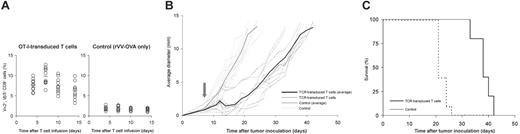 Figure 6. Antitumor effect of TCR-transduced T cells in a self-tolerant setting. RIP-OVAhi mice were challenged with 1 × 105 B16-OVA cells subcutaneously. On day 7, mice received either 1 × 106 OT-I TCR-transduced T cells followed by vaccination with rVV-OVA (left panel in A, black line in B, solid line in C) or vaccination alone (right panel in A, gray line in B, dashed line in C). (A) Blood was sampled and analyzed for the presence of OT-I transduced T cells on day 4 to 14 after adoptive transfer. Each circle represents one mouse; bars, average immune responses. (B) Tumor growth was measured 3 times a week starting at day 7 after inoculation. Dashed lines represent growth curves in individual mice; solid lines, average growth curves; arrow, the start of treatment. (C) Survival curve: Mice were killed when the average tumor diameter exceeded 12.5 mm.