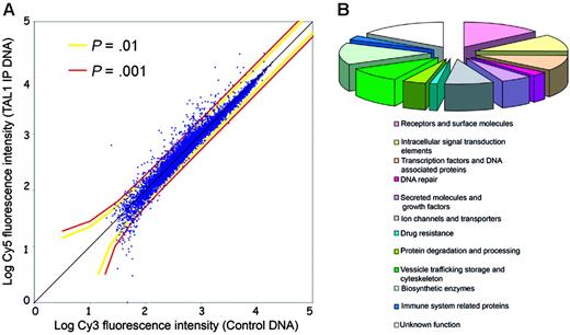 Figure 1. Identification of TAL1 direct target genes by ChIP on chip in Jurkat cells. (A) Scatterplot representation of a genomic microarray (Hu13K) hybridization with a chromatin immunoprecipitation performed using a TAL1 antibody. The x-axis indicates the log intensity of the fluorescence of the control DNA, labeled with Cy3, while the y-axis represents the log fluorescence intensity of the TAL1 chromatin immunoprecipitates (TAL1-IP) labeled with Cy5. Each dot represents a promoter region from the Hu13K arrays. The colored lines represent the P values calculated by the error model applied to the fluorescence data. (B) Functional classification of the 71 TAL1 targets according to Gene Ontology and/or National Center for Biotechnology Information (NCBI) data for the identified genes. Note the broad spectrum of functional categories of genes regulated by TAL1.