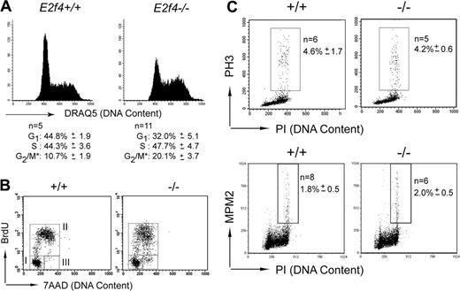 Figure 3. Cell cycle defects of E2f4–/– fetal liver erythroid cells in vivo. (A) Cell cycle profile of live Ter119+ gated E15.5 FL cells stained with DNA dye, DRAQ5. Percentage of cells in each cell cycle stage was determined by Modfit (*proportion of cells in G2/M, as determined by Modfit, may include cells in late S phase). (B) FACS determination of BrdU incorporation by Ter119+ E15.5 FL cells following 1 hour in vivo BrdU pulse. For quantitation, see Table 1. (C) Phosphohistone H3 and MPM2 staining was performed on whole E15.5 FL cells to determine proportion of cells undergoing mitosis. Numeric data are provided with the corresponding standard deviation.
