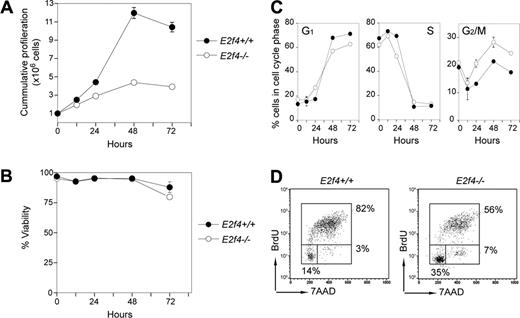 Figure 5. Impaired proliferation of differentiating E2f4–/– fetal erythroid cells in vitro. FL erythroid cells pooled from E2f4+/+ and E2f4–/– E12.5 embryos were expanded and induced to differentiate in vitro. Proliferation, viability, and cell cycle parameters were measured at 0, 12, 24, 48, and 72 hours following differentiation induction. (A) Cumulative proliferation was assessed by measurement of live cell numbers in each culture by trypan blue exclusion assay. (B) Level of viability was determined by trypan blue exclusion. (C) Cell cycle profiles were measured by PI analysis, and the percentage of cells in each cell cycle stage was determined by Modfit. (D) FACS determination of BrdU incorporation by Ter119+ E15.5 FL cells following 1 hour in vitro BrdU pulse at 24 hours after differentiation induction. For all graphs, E2f4+/+, closed symbols; E2f4–/–, open symbols. Error bars indicate standard deviation.