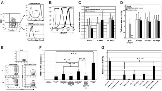 Figure 2. The hTERT reporter vector reported hTERT expression in hematopoietic progenitor cells via dGFP expression. (A) The hTERT reporter vector allowed barely detectable levels of dGFP expression in the telomerase-negative CB CD34–CD15/33+ cells. (B) In contrast, nearly all K562 cells became dGFP+ following the hTERT reporter vector transduction. (C) hTERT expression in K562 cells was assessed using real-time PCR. No significant differences in endogenous hTERT expression were observed between the hTERT reporter–transduced K562 cells compared with the control vector, or the mock-transduced cells at the indicated days after transduction. Data shown are the averages and standard deviations of hTERT mRNA levels from 3 independent experiments. (D) No significant differences in telomerase activity in the K562 cells were observed between the same 3 groups as analyzed in panel C. Data shown are the averages and standard deviations of telomerase activity. (E) A substantial fraction of the CD34+ cells expressed dGFP+, both under survival conditions (TPO alone; T) and proliferating conditions (TPO, SCF, and FL; TSF). (F) hTERT mRNA expression was assessed using real-time RT-PCR on the indicated cell populations as described in “Materials and methods.” Data shown are the averages and standard deviations of hTERT mRNA levels from 1250 cells from 5 independent experiments. (G) CD34–CD15/33+ and transduced CD34+ cells were assessed for telomerase activity using the TRAP assay. Data shown are the averages and standard deviations of telomerase activity of cell extracts from 1000 cells per assay (n = 3). HI indicates heat-inactivated sample; ND, not detectable. For significance tests, paired t tests were used.