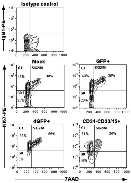Figure 3. Cell-cycle analysis using Ki-67 and 7-AAD. CD34+ cells cultured and transduced under survival conditions were sorted based on dGFP+ or GFP+ expression and assessed for cell-cycle status by Ki-67 and 7-AAD staining. The mock-transduced CD34+ cells and sorted mature myeloid CD34–CD15/33+ cells were assessed in the same manner. The percentages of cells within each cell-cycle stage are depicted in density plots. Data presented are from a representative experiment out of 4 independent experiments.