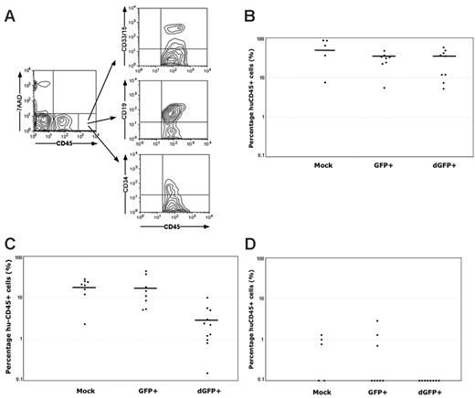 Figure 5. CB CD34+ cells with up-regulated hTERT expression contained short-term multipotent SRCs. Sorted dGFP+, GFP+, and mock-transduced cells were transplanted into NOD/SCID B2m–/– or NOD/SCID mice via tail-vein injections at 1.0 × 105 cells per animal. Human-cell engraftment in mouse bone marrow was assessed 6 weeks later. (A) The gating for assessing human-cell engraftment (hu-CD45+ cells), myeloid differentiation (CD33/15+ cells), lymphoid differentiation (CD19+ cells), and regeneration of primitive CD34+ cells from a representative animal is shown. (B) The percentages of hu-CD45+ cells in the bone marrow of primary NOD/SCID B2m–/– mice recipients following transplantation of dGFP+, GFP+, or mock-transduced cells are shown. (C) The percentages of hu-CD45+ cells in the bone marrow of NOD/SCID mice recipients following transplantation of dGFP+, GFP+, or mock-transduced cells are shown. (D) The percentages of hu-CD45+ cells in the bone marrow of secondary NOD/SCIDB2m–/– recipients following transplantation with total bone marrow cells from primary NOD/SCIDB2m–/– mice recipients are shown. In panels B-D, each dot represents one mouse and each figure is a summary of 2 independent experiments. The horizontal bars show the average levels of hu-CD45+ cells.