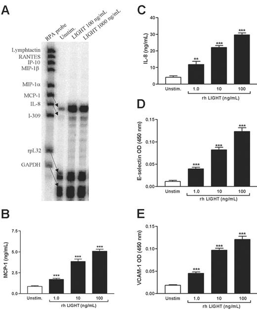 Figure 3. Chemokine and adhesion molecules expression in HUVECs stimulated with rhLIGHT. (A) RPA from one representative experiment (5 hours). GAPDH and rpL32 represent control genes. (B-E) Effect of rhLIGHT (1-100 ng/mL) on protein levels of MCP-1 (B) and IL-8 (C) in HUVEC supernatants (20 hours), and E-selectin (D) and VCAM-1 (E) associated with attached HUVECs (5 hours), n = 9 for both. Data are presented as mean ± SEM. **P < .01 and ***P < .001 versus unstimulated HUVECs.