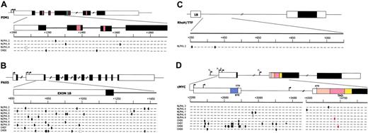 Figure 1. Mutational analyses. PIM1 (A), PAX5 (B), RhoH/TTF (C), and c-MYC (D) in NLPHL and cHL. Genomic loci are shown, with untranslated (open boxes) and translated (filled boxes) sequences; hatched boxes are relevant protein functional domains. Arrows indicate transcriptional start sites. Regions amplified for analysis are expanded for each gene and aligned with sequences of mutated NLPHL and cHL cases, shown below the loci. One line represents 2 alleles, where each small segment represents a 20-bp (PIM1, PAX5, RhoH/TTF) or a 40-bp (c-MYC) interval (numbering according to the relative GenBank accession numbers). Ovals indicate 1-bp substitution (red indicates resulted in missense mutation); brackets indicate deletions; plus indicates insertions. BTE indicates segment controlling block of transcriptional elongation; TAD, transactivation domain.
