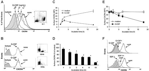 Figure 1. G-CSF selectively reduces levels of surface CXCR4 in myeloid lineage cells. (A) Flow cytometric analysis of surface CXCR4 expression in bone marrow Gr1+ myeloid cells. Unfractionated bone marrow cell populations were incubated (1 × 106/mL) at 37°C for 6 hours in medium alone or with G-CSF at concentrations of 0.1, 10, and 100 ng/mL. Cells were double stained for Gr1 (APC-labeled) and CXCR4 (FITC-labeled 2B11 antibody) or with APC- and FITC-labeled control antibodies. Gr1+ cells (R1 gate) represented 40.1% of total nucleated cells. (B) Analysis of CXCR4 expression in CD19+ B-lineage (top panel) and CD3e+ T-lineage (bottom panel) cells. Unfractionated bone marrow cell populations were incubated at 37°C for 6 hours with or without G-CSF (100 ng/mL). Cells were double stained for CD19 (APC-labeled) and CXCR4 (FITC-labeled) or CD3e (APC-labeled) and CXCR4 (FITC-labeled) and gated on CD19+ cells (44% of total nucleated cells) or CD3e+ (5.2% of total nucleated cells) cells. (C) Expression of CXCR4 in Gr1+ cells as a function of culture time (0-18 hours) in medium alone or with G-CSF (100 ng/mL). The results are expressed as mean fluorescence intensity (MFI) of CXCR4 detected on Gr1+ cells (mean ± SEM of 3 experiments). (D) Time-dependent reduction of surface CXCR4 in Gr1+ cells induced by G-CSF (100 ng/mL). Unfractionated bone marrow cell populations were incubated at 37°C for 18 hours with or without G-CSF (100 ng/mL). The results are expressed as the mean (± SEM of 5 experiments) percent reduction of surface CXCR4 induced by G-CSF compared with medium alone. *P < .05 medium versus G-CSF. (E) G-CSF reduces surface CXCR4 in precultured bone marrow cells. Unfractionated bone marrow cell populations were preincubated (37°C, 18 hours) in medium alone to achieve high-level surface CXCR4 expression, and further incubated for 18 hours with or without G-CSF (100 ng/mL). The results reflect levels of surface CXCR4 expression (expressed as MFI) in Gr1+ cells cultured with or without G-CSF after the preculture (mean ± SEM of 3 experiments). (F) Unfractionated bone marrow cell populations were incubated (37°C) for 18 hours with or without G-CSF (100 ng/mL), or for 40 minutes with or without SDF-1α (400 ng/mL) to achieve a reduction of surface CXCR4. After washing (PBS containing 50 mM glycine), the cells were incubated for 2 hours at 37°C in medium containing cycloheximide (100 μg/mL). The results reflect surface CXCR4 expression in Gr1+ myeloid cells (representative experiment of 3 performed).