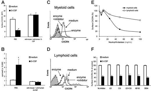 Figure 3. Analysis of the relative contribution of G-CSF and soluble mediators induced by G-CSF to the reduction of surface CXCR4 on bone marrow myeloid cells. Unfractionated bone marrow cell populations were preincubated (1 × 106/mL) at 37°C for 18 hours in medium alone or with G-CSF (100 ng/mL). (A) Cell-free supernatants from these cultures were preincubated (1 hour, 37°C) with rabbit neutralizing antibody against human (final concentration, 5 μg/mL) and rat neutralizing antibodies against mouse (final concentration, 3 μg/mL) G-CSF or with PBS only, and then added undiluted (1 mL) to freshly isolated bone marrow cell populations (1 × 106 cells); the mixture was further incubated (6 hours, 37°C). Levels of CXCR4 expression in Gr1+ cells were measured by flow cytometry. The results are expressed as MFI (± SE) of triplicate determinations. *P < .05 (medium versus G-CSF). (B) Detection of G-CSF bioactivity in culture supernatants from bone marrow cell populations incubated with or without neutralizing antibodies against mouse and human G-CSF (as described under “Preparation of murine and human bone marrow cells”). G-CSF bioactivity was measured by 3H thymidine incorporation in murine NFS-60 cells, and the results are expressed as mean (± SE) of triplicate cultures. *P < .05. (C-D) Neutrophil elastase reduces levels of surface CXCR4 in bone marrow myeloid (C) and lymphoid (D) cells. Unfractionated bone marrow cell populations were incubated (1 × 106/mL in DMEM medium with 0.2% BSA for 4 hours at 37°C) with medium alone, leukocyte elastase (enzyme, 40 μg/mL), and with leukocyte elastase plus leukocyte elastase inhibitor III (10 μM). Levels of surface CXCR4 were measured by flow cytometry on Gr1+ cells and lymphoid cells. (E) Dose dependency of leukocyte elastase–induced reduction of surface CXCR4 on Gr1+ cells and lymphoid cells. Unfractionated bone marrow cell populations were incubated with leukocyte elastase (5-100 μg/mL) for 2 hours at 37°C. The results are expressed as percent CXCR4 expression compared with untreated cells (MFI of elastase-treated cells/MFI of untreated cells × 100). (F) Surface CXCR4 expression in the presence of specific enzyme inhibitors. Unfractionated bone marrow cell populations were preincubated (2 hours, 37°C) in medium only (DMEM with 0.2% BSA); or with leukocyte elastase inhibitor III (LEI 10 μM); cathepsin-G (CGI, 10 μM); LEI plus CGI (10 μM each); the CD26/dipeptdyl peptidase inhibitor AB192 (50 μM); and the metalloproteinase inhibitor BB94 (10 μM). Subsequently, cells were incubated with or without G-CSF (100 ng/mL, 4 hours, 37°C). Surface CXCR4 was measured on Gr1+ cells by flow cytometry. The results are expressed as percent MFI compared with cells incubated in medium alone without inhibitors.