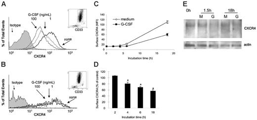Figure 7. Effects of G-CSF on CXCR4 expression in human bone marrow myeloid cells. (A-B) Unfractionated bone marrow cell populations were incubated (1 × 106/mL) at 37°C for 18 hours in medium alone or with G-CSF (1 and 100 ng/mL). Cells were double stained for CD33 (PE-labeled) and CXCR4 (APC-labeled 12G5 antibody) or with PE- and APC-labeled control antibodies (isotype). (A) Surface CXCR4 expression in human bone marrow CD33+ myeloid cells cultured for 18 hours in medium alone (none) or with G-CSF (1 and 100 ng/mL). (B) Surface CXCR4 expression in human bone marrow CD33– cell populations cultured for 18 hours in medium alone (none) or with G-CSF (1 and 100 ng/mL). (C) Expression of surface CXCR4 in human CD33+ bone marrow cells as a function of culture time (0-18 hours) in medium alone or with G-CSF (100 ng/mL). The results are expressed as mean fluorescence intensity (MFI) of CXCR4 detected on CD33+ cells (mean ± SEM of 3 experiments). (D) Time-dependent reduction of surface CXCR4 in CD33+ cells induced by G-CSF (100 ng/mL). Unfractionated bone marrow cell populations were incubated at 37°C for 18 hours with or without G-CSF (100 ng/mL). The results are expressed as the mean (± SEM of 3 experiments) percent reduction of surface CXCR4 induced by G-CSF compared with medium alone. *P < .05 medium versus G-CSF. (E) CXCR4 detected in cell lysates of purified bone marrow CD33+ cells (> 85% purity) immediately after separation (0h), and after 1.5-hour and 18-hour incubation in medium only (M) or with G-CSF (G, 100 ng/mL). Bottom panel reflects the results upon membrane reprobing with anti–beta actin antibodies.
