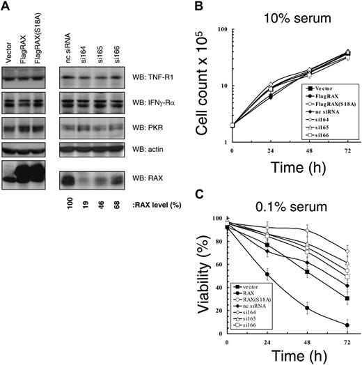 Figure 1. Expression of siRNA to RAX promotes cell survival in medium with low serum. (A) Western blots using cell lysates from MEFs expressing the indicated siRNAs as well as from cell lines that express exogenous RAX or RAX(S18A). (B) Growth rate of MEF cell lines under serum-replete (10%) conditions. (C) Viability measured by TUNEL assay in medium with low (0.1%) serum of cell lines with reduced RAX levels caused by siRNA expression or expressing either exogenous RAX or RAX(S18A).