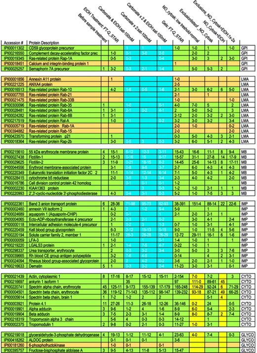 Figure 1. Number of peptides identified following different extraction procedures and different MS methods. In each rectangle, the figure lists for a particular extraction procedure a range of the number of detected peptides. Because the number of detected peptides differed for the 2 types of MS techniques applied, we list a range. The investigated proteins are grouped, as abbreviated in the right column: GPI, GPI-anchored proteins; LMA, loosely membrane-associated proteins; TMA, tightly membrane-associated proteins; IMP, integral membrane protein; CYTO, cytoskeletal proteins; and GLYCO, glycolytic proteins. Proteins are shown in green or dark yellow to maintain the consistent statistical color-coding adopted in the supplementary tables, where green proteins are detected in almost all runs and tan in a high number of runs. To illustrate the most dramatic differences among “membrane proteins” following extractions, an area is highlighted in blue.