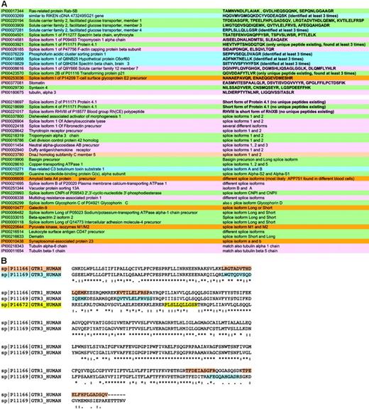 Figure 2. Protein isoforms in RBC membranes. (A) The splice isoforms of membrane proteins are summarized with the relevant peptides that permitted unequivocal attribution to a specific isoform when such attribution was possible. (B) The partial of a Clustal W alignment of sister proteins is shown for the glucose transporters of RBCs as an example of the way by which we ensured the presence of specific peptides for each protein in the final data set. The evidenced peptides were found (among others) and are clearly unique to each protein.