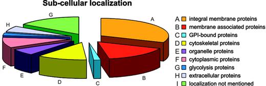 Figure 3. Subcellular localization of the membrane proteins.
