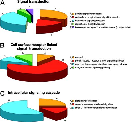 Figure 4. Annotation: the example of signal transduction. (A) Distribution of proteins involved in signal transduction in the RBC. (B) Distribution of proteins linked to the cellular surface receptor-mediated signal transduction. (C) Distribution of proteins linked to intracellular signal transduction.