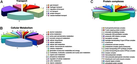 Figure 6. Involvement of soluble proteins. Soluble proteins involved in transport (A), cellular metabolism (B), and being comprised in protein complexes (C).