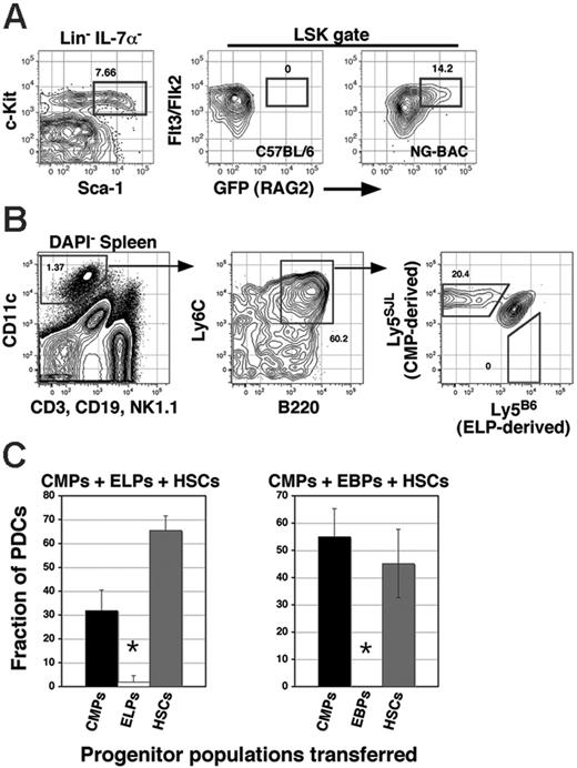 Figure 3. Relative PDC differentiation potential of early myeloid and lymphoid progenitors. (A) c-kithigh ELPs in a 10-week-old NG-BAC transgenic were identified by staining BM cells with the indicated antibodies before collection of 1 000 000 events on an LSRII flow cytometer. (B) A total of 1000 c-kithigh ELPs from NG-BAC transgenics and 1000 CMPs (Lin–IL-7Rα–Sca-1–c-kithighCD16/32intCD34+; see Figure 5A) from B6.Ly5SJL congenics were mixed with 250 host-type HSCs (Lin–IL-7Rα–Sca-1+c-kithighFlt3/Flk2–) before transfer into irradiated (C57BL/6 × B6.Ly5SJL) F1 hosts. Splenocytes from a representative recipient at day 14 after transfer were assessed for the relative contribution of each progenitor population to the PDC lineage by staining cells with the indicated antibodies and collection of 500 000 events. Recipients of host-type HSCs only did not contain detectable Ly5B6+Ly5SJL– or Ly5B6–Ly5SJL+ cells (not shown). (C) Summary data from 3 recipients per group given either ELPs or EBPs/CLPs mixed with CMPs. Data are the mean and SEM with 5 mice per group and are representative of 2 separate experiments with 5 recipients per group.