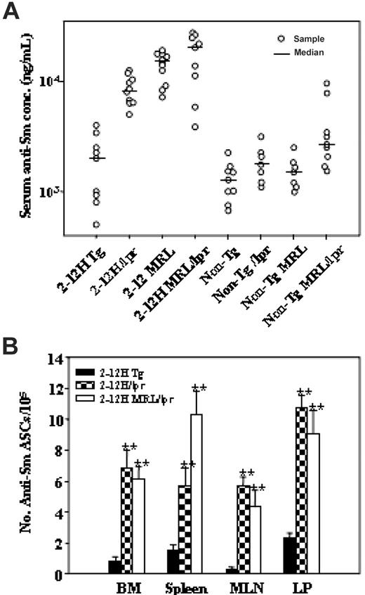 Figure 1. Anti-Sm antibody ASC production in autoimmune mice. (A) Serum anti-Sm levels are shown for mice 2 to 4 months of age. (B) The number ± SEM of anti-Sm ASCs in the bone marrow (BM), spleen, MLN, and LP as determined by ELISpot assay is shown (**P < .01 in comparison with 2-12H mice; n ≥ 3).