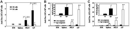 Figure 5. Anti-Sm B-1–cell activation in Faslpr mice after peritoneal cell transfer. (A) 2-12H/Faslpr peritoneal cells were stained for CD19 and CD11b, and the CD19+ CD11b+ B-1 cells and CD19+ CD11b– B-2 cells were sorted and transferred to Faslpr recipient mice. Two weeks after transfer, anti-Sm ASCs in the bone marrow, spleen, MLN, and LP were quantified (± SEM) by ELISpot. ND indicates none detected. (B) Unsorted peritoneal cells from 2-12H/Faslpr mice were transferred to wild-type (wt) or Faslpr recipient mice. ELISA was used to measure (± SEM) serum IgMa+ anti-Sm (inset), and ELISpot was used to quantify (± SEM) anti-Sm ASCs from BM, spleen, MLN, and LP. (C) The same as panel B except that 2-12H peritoneal cells were transferred to wt or Faslpr recipients. Asterisks indicate the differences (P < .05) between wt and Faslpr recipients.