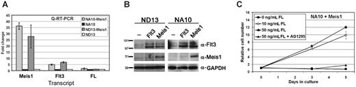 Figure 3. Elevated expression of Flt3 by transduction of Meis1 confers a survival and proliferative advantage to the NUP98-HOX cells. (A) Quantitative RT-PCR showing the levels of Meis1, Flt3, and FL transcripts in the NA10 and ND13 preleukemic cells before and after Meis1 or Flt3 transduction. Levels are shown as fold changes relative to the parental lines. The error bars represent standard deviation from 2 independent experiments. (B) Western blot analysis showing an increase of Flt3 protein levels in the NUP98-HOX cells upon transduction with the Flt3 or Meis1 retroviruses. Both bands represent Flt3; the top band is the glycosylated form. The levels of Meis1 and GAPDH are also shown. The transduced cells were sorted for GFP/YFP expression and at least 85% of the tested cells were double positive. (C) Ex vivo dose-response growth curves where bm cells harvested from diseased NA10/Meis1 mice were grown in 10% FBS and 0, 10, or 50 ng/mL FL in the presence or absence of Flt3 inhibitor AG1295 for a period of 5 days. The error bars represent the standard deviation from 3 independent experiments.