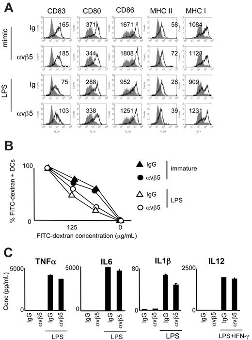 Figure 3. Impact of αvβ5 ligation on DC maturation. DCs were incubated with αvβ5- or Ig-ApoS, after which noninternalized Apo-S was lysed and MCM-mimic, LPS, or LPS and IFNγ were added to the cultures for 40 hours. (A) Expression of MHC I, MHC II, CD80, CD86, and CD83 molecules on DCs. Mean fluorescence intensity and increase over immature DCs (gray histograms) are shown for each sample. (B) Following preexposure to ApoS, DCs were exposed to LPS for 40 hours or left immature and then cocultured for 1.5 hours with increasing concentrations of FITC-dextran beads. Uptake of beads by αvβ5-ApoS–exposed versus control DCs was measured by FACS. Percentage of dextran-FITC–positive, MHC I (PE)–gated DCs is shown for immature (•, ▴) versus LPS-matured DCs (○, ▵). (C) Culture supernatants were collected and analyzed for the presence of IL12, TNFα, IL1β, and IL6. Error bars represent SD of duplicate wells in ELISA plate. Representative experiments of at least 3 performed are shown.