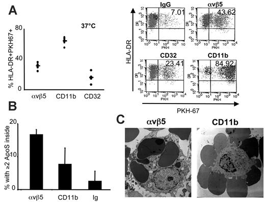 Figure 5. Internalization of ApoS by CR3 and αvβ5. (A) ApoS were stained with PKH67 and cocultured with DCs at 37°C for 2 hours. DCs were gated by FSC/SSC and expression of MHC II and analyzed for association with PKH-labeled ApoS. Each dot represents the value for DCs of a healthy donor after the background value (association of DCs with IgG-ApoS) was subtracted (left), and the line represents the averaged value of all donors. A representative dot plot is shown on the right. (B) DCs were cocultured with CD11b-, αvβ5-, or control ApoS for 2 hours and then fixed for preparation of EM slides. The data represent an average from 3 donors tested; error bars represent SD. For each donor, DCs that contained 2 or more ApoS were counted in at least 5 EM slides at low magnification (magnification × enlargement factor was 4500 for αvβ5 and 2100 for CD11b). (C) EM photos are shown of DCs interacting with αvβ5-ApoS (left) or CD11b-ApoS (right).