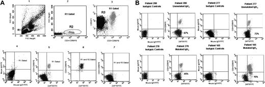 Figure 1. Flow cytometric analysis of ZAP-70 expression and flow cytometric profiles of ZAP-70 protein on 4 B-CLL cases. (A) The method used to quantify the expression of ZAP-70 by B-CLL cells is shown. In plot 1, forward and side scatter of mononuclear cells is represented with a region (R1) drawn around the lymphocytes. Lymphocytes were R1 gated, and then T cells and natural killer (CD3+CD56+) cells (the R2 region in plot 2) and CLL cells (CD5+CD3–CD56–) cells (the R3 region in plot 3) were selected according to their phenotype. The plot 4 shows the expression of mouse IgG1 isotypic controls after lymphocyte (R1) gating. The plot 5 shows the expression of ZAP-70 after lymphocyte (R1) gating. For the purpose of quantification, markers were placed so that the T cells and natural killer cells (R1 and R2 gated) with a high level of expression of ZAP-70 would appear in the upper-right quadrant (plot 6). Mouse IgG1 isotypic antibody conjugated with Alexa Fluor was used as control marker for ZAP-70 positivity. Then, B-CLL cells were plotted, and the same marker that included T cells and natural killer cells in the upper-right quadrant was used to calculate the percentage of CLL cells that were positive for ZAP-70, as shown in the plot 7. Panel B shows the level of ZAP-70 expression by lymphocytes from 4 representative patients with CLL according to the mutational status of IgVH status. In each case, mouse IgG1 isotypic antibody is used as control for ZAP-70 positivity. The percentage of CLL cells with a high level of ZAP-70 expression is shown in the lower-right quadrant of each plot, after the exclusion of T and natural killer cells. FITC denotes Alexa Fluor 488.