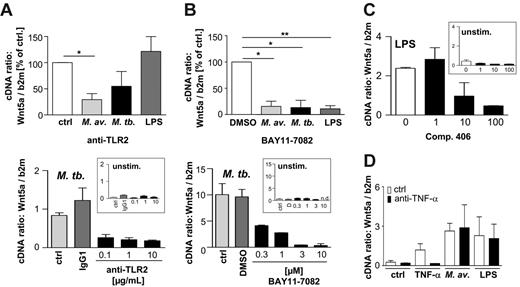 Figure 3. Induction of WNT5A expression is TLR and NF-κB dependent. Cells were stimulated for 4 hours. Total RNA was isolated, reverse transcribed, and analyzed by quantitative RT-PCR. (A, top) Human macrophages from 3 individual donors were stimulated with M avium (M av), M tuberculosis (M tb; MOI 3), or LPS (10 ng/mL) in the presence of an anti-TLR2 antibody or an isotype control antibody (10 μg/mL or as indicated). Statistical analysis was performed on data obtained from 3 independent experiments by normalizing WNT5A expression in the absence of antibody to 100% (ctrl) (*P < .05). (A, bottom) For the dose-response curve, means ± SD of duplicate determinations of 1 representative experiment of 3 is shown. (B, top) Human macrophages from 3 individual donors were stimulated with M avium (M av), M tuberculosis (Mtb; MOI 3), or LPS (10 ng/mL) in the presence of BAY11-7082 (inhibitor of IκB-α-phosphorylation), dimethyl sulfoxide (DMSO) as solvent control, or left untreated (ctrl), and WNT5A mRNA expression was analyzed. For statistical analyses, results from 3 individual donors in the presence of an optimal inhibitor concentration of 3 μM were compared to DMSO-treated cultures normalized to 100% (*P < .05; **P < .005). (C) Detection of LPS-induced (10 ng/mL) WNT5A expression in human macrophages in the presence of Compound 406 (1-100 ng/mL). Mean ± SD of duplicate determinations of 1 representative experiment of 3 is shown. (D) Human macrophages were stimulated for 4 hours with recombinant human TNF-α, LPS (each 10 ng/mL), or M avium (MOI 10) in the presence of anti–TNF-α antibodies (10 μg/mL). Total RNA was isolated, reverse transcribed, and analyzed for WNT5A expression. Mean ± SD of duplicate determination of 1 representative experiment of 3 are shown.