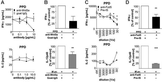 Figure 6. WNT5A- and FZD5-dependent regulation of Th1 cytokine responses. (A) PBMCs of PPD-reactive donors were stimulated with PPD (10 μg/mL) in the presence of anti-Wnt5a or isotype-matched control antibodies. IFN-γ (96 hours) and IL-2 (24 hours) concentrations in supernatants were analyzed by ELISA. Stimulation was performed in triplicates: mean ± SD of 1 of 3 independent experiments are depicted. (B) PPD- or M avium–induced (10 μg/mL and MOI 3, respectively) IFN-γ and IL-12p40 release by PBMCs in the presence of optimal inhibitory anti-WNT5A antibody concentration (10 μg/mL) was determined. Three independent experiments using cells of individual donors were compared by normalizing control conditions (cultures treated with goat-IgG) to 100%. (C) PBMCs of PPD-reactive donors were stimulated with PPD (10 μg/mL) in the presence of an anti-FZD5 antiserum and preimmune serum. IFN-γ (96 hours) and IL-2 (24 hours) concentration in supernatants were analyzed by ELISA. Experiments were performed in triplicate; mean ± SD of 1 of 3 independent experiments are depicted. (D) PPD- or M avium–induced (10 μg/mL and MOI 3, respectively) IFN-γ and IL-12p40 release by PBMCs in the presence of optimal inhibitory dilution of the anti-FZD5 antiserum (1/100) were determined. Three independent experiments using cells of individual donors were compared by normalizing control conditions (cultures treated with preimmune serum) to 100% (*P < .05; **P < .01; ***P < .001).